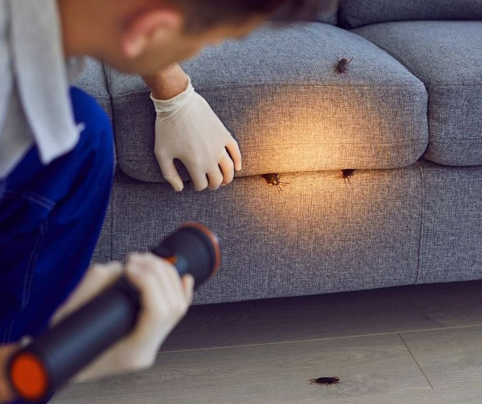 Kellerschimmel & Mauertrocknung